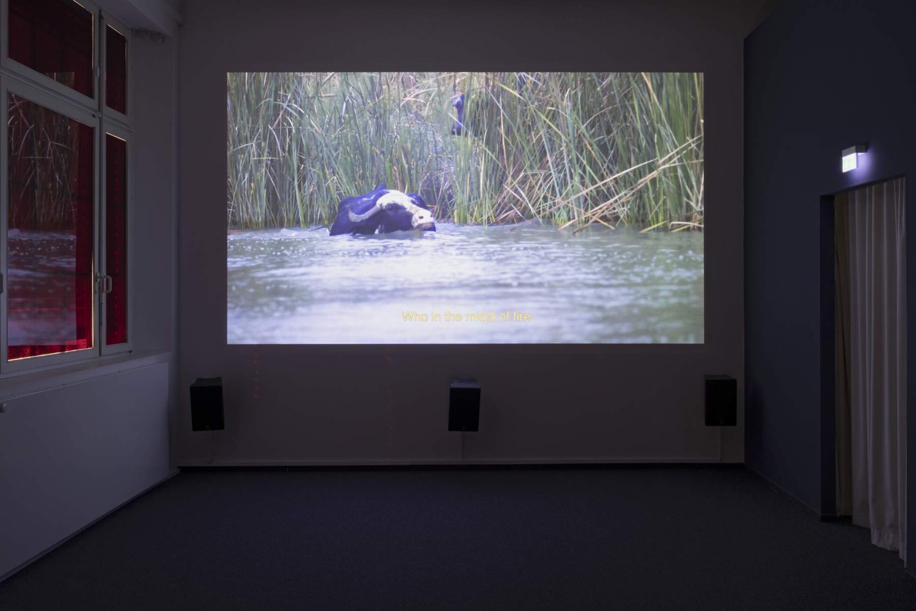 Alia Farid, CHIBAYISH, 2022
Foto: Gina Folly, © Biennale für Freiburg 2
