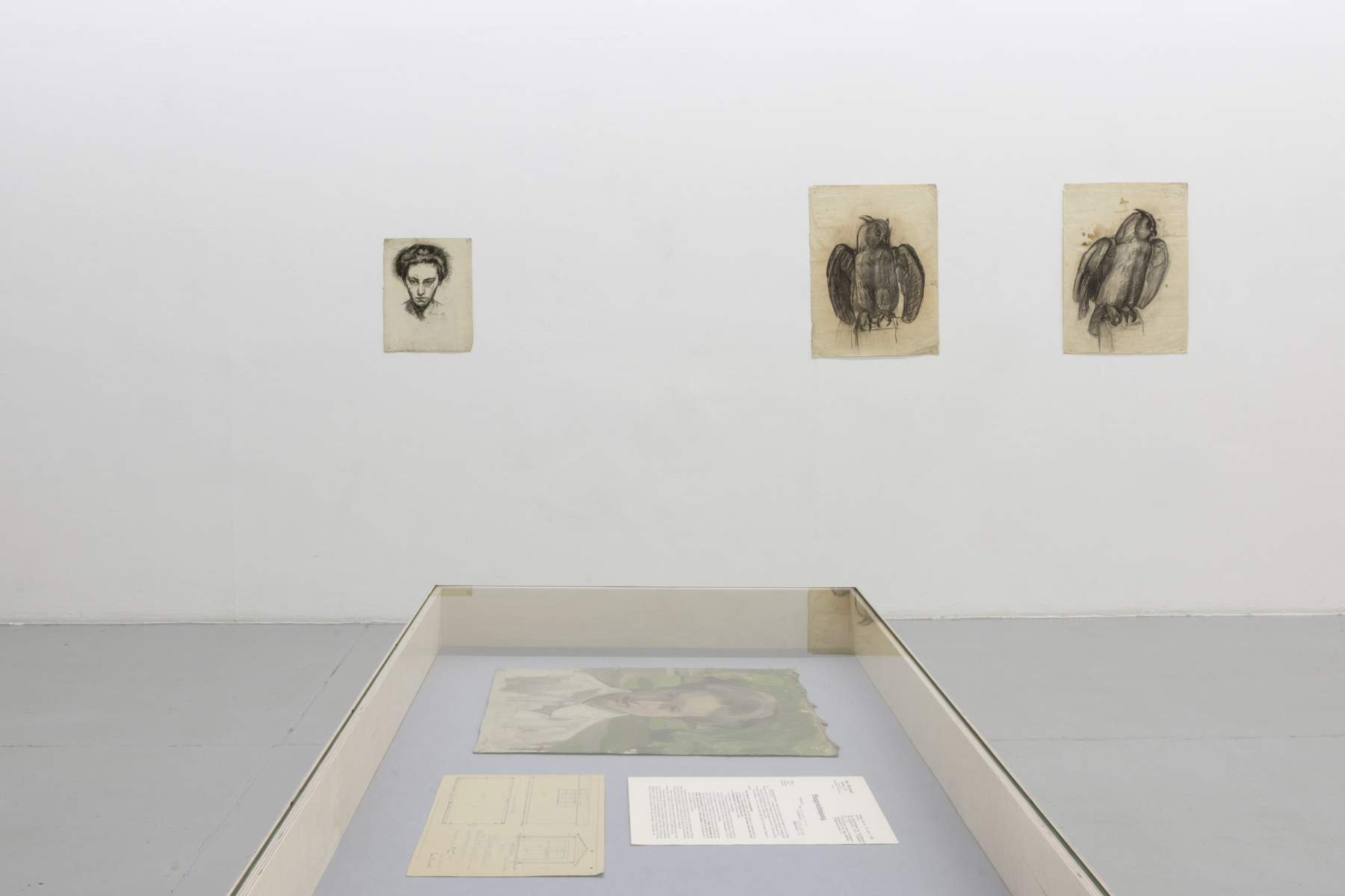 Eva Eisenlohr, Ausstellungsansicht Kunstverein Freiburg
Foto: Gina Folly, © Biennale für Freiburg 2