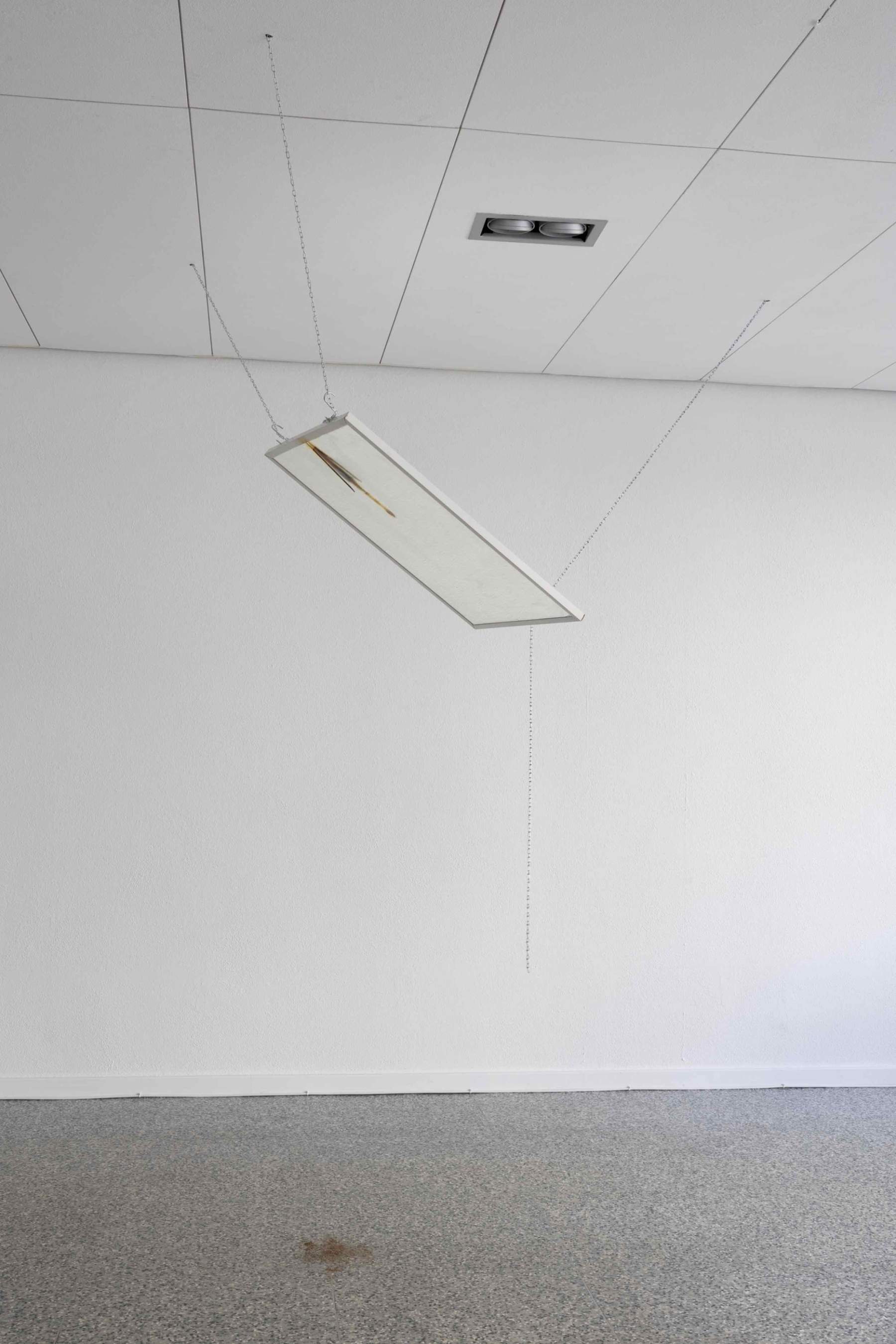 Hemansingh Lutchmun, BIRD OF PREY, 2023
Foto: Gina Folly, © Biennale für Freiburg 2