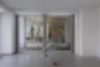 Hemansingh Lutchmun, BIRD OF PREY, 2023, Installationsansicht DELPHI_space/außenstelle
Foto: Gina Folly, © Biennale für Freiburg 2