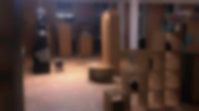 Henrike Naumann, Videostill, AESTHETICS OF POWER, 2021, Courtesy die Künstlerin