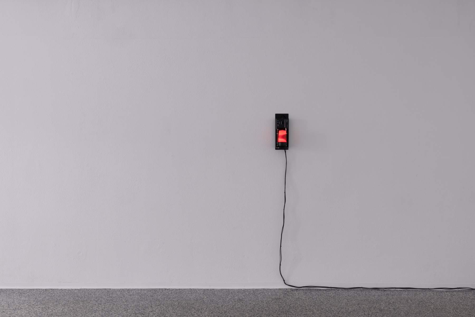 Maria Toumazou, FUTURE EXPOSURE, 2023, Installationsansicht DELPHI_space/außenstelle
Foto: Gina Folly, © Biennale für Freiburg 2