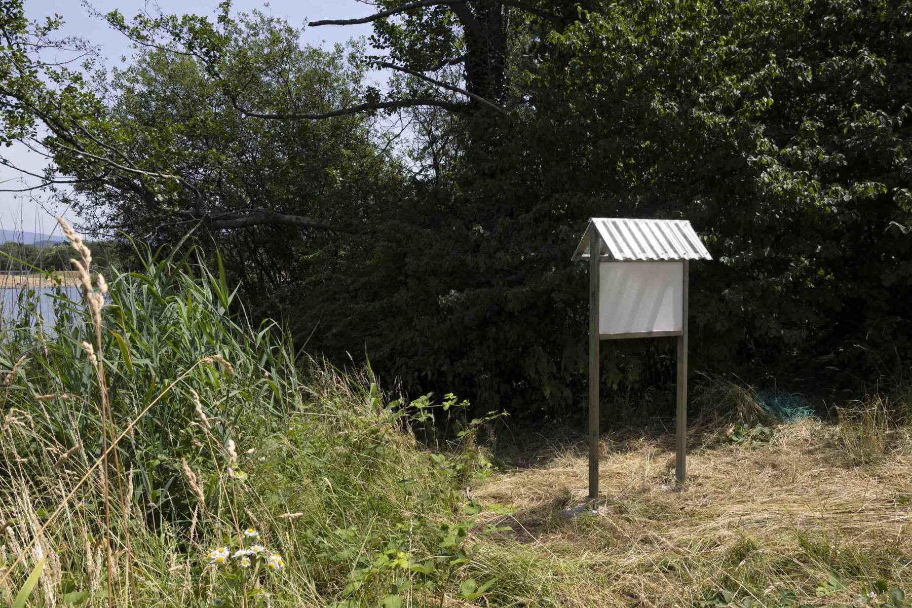 Yong Xiang Li & François Pisapia UNTITLED (ESCORT), 2023
Foto: Gina Folly, © Biennale für Freiburg 2