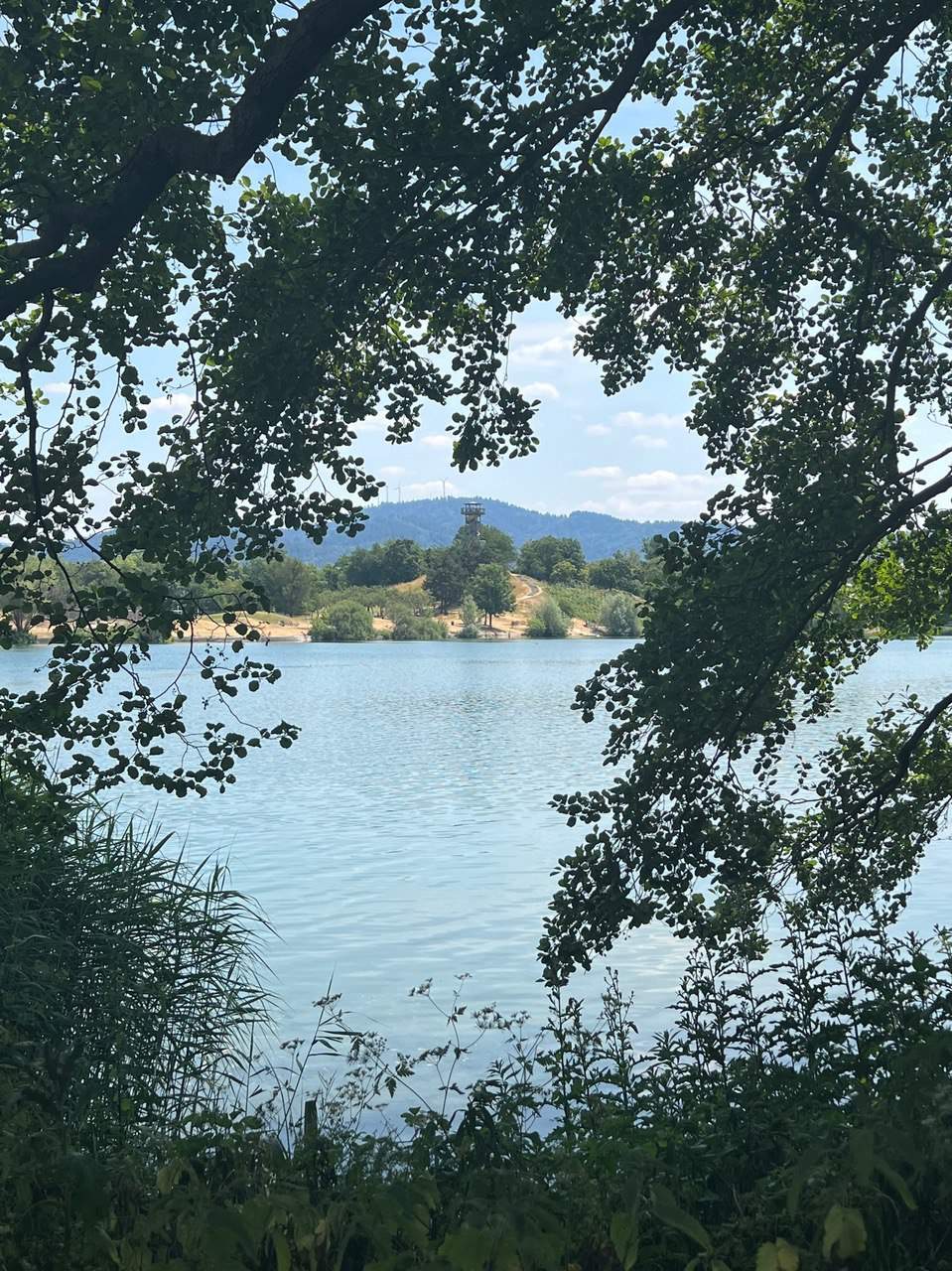 Blick auf den Flückiger See.
Foto: © Biennale für Freiburg 2