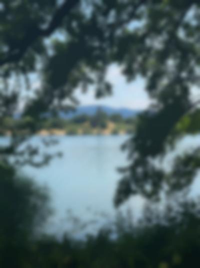 Blick auf den Flückiger See.
Foto: © Biennale für Freiburg 2